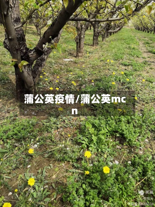 蒲公英疫情/蒲公英mcn