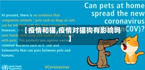 【疫情和猫,疫情对猫狗有影响吗】