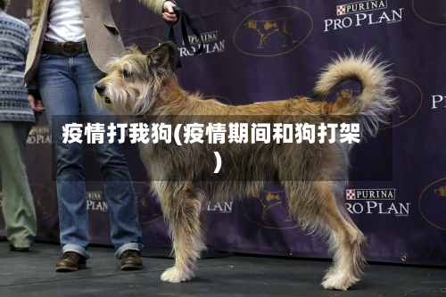 疫情打我狗(疫情期间和狗打架)