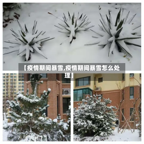 【疫情期间暴雪,疫情期间暴雪怎么处理】