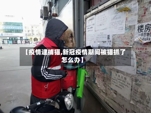 【疫情逮捕猫,新冠疫情期间被猫抓了怎么办】