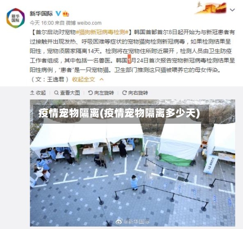 疫情宠物隔离(疫情宠物隔离多少天)