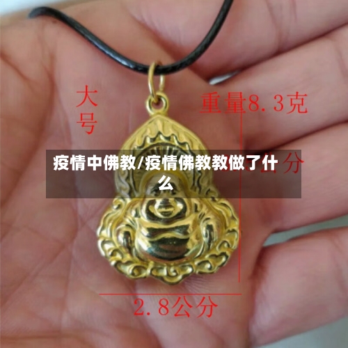 疫情中佛教/疫情佛教教做了什么