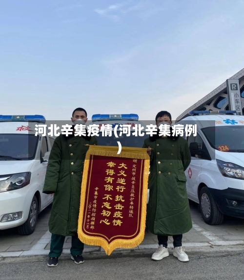 河北辛集疫情(河北辛集病例)