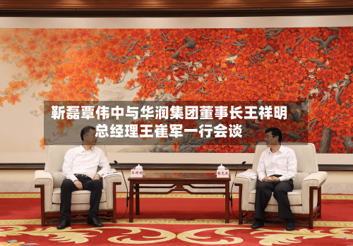 靳磊覃伟中与华润集团董事长王祥明总经理王崔军一行会谈