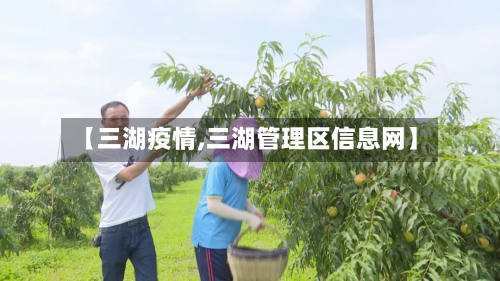 【三湖疫情,三湖管理区信息网】