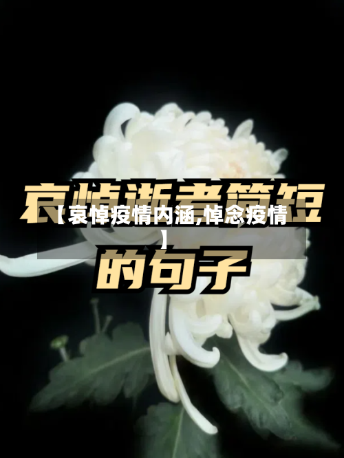 【哀悼疫情内涵,悼念疫情】