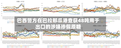 巴西警方在巴拉那瓜港查获48吨用于出口的涉嫌掺假原糖