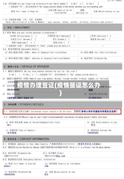 疫情办理签证(疫情签证怎么办)