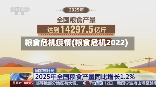 粮食危机疫情(粮食危机2022)