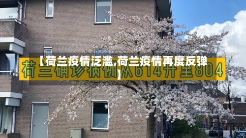 【荷兰疫情泛滥,荷兰疫情再度反弹】