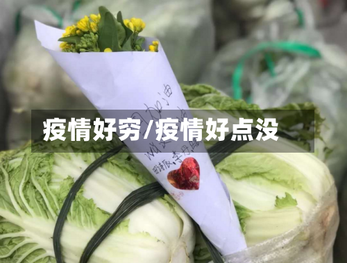 疫情好穷/疫情好点没