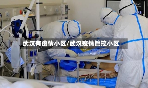 武汉有疫情小区/武汉疫情管控小区