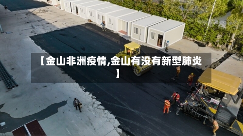 【金山非洲疫情,金山有没有新型肺炎】
