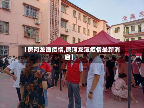 【唐河龙潭疫情,唐河龙潭疫情最新消息】