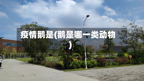 疫情鹅是(鹅是哪一类动物)