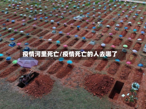 疫情河里死亡/疫情死亡的人去哪了