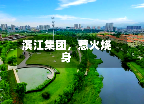 滨江集团，惹火烧身