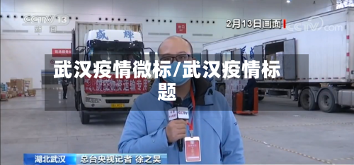 武汉疫情微标/武汉疫情标题