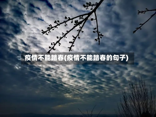 疫情不能踏春(疫情不能踏春的句子)