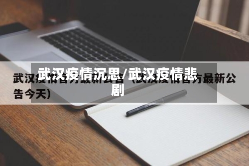 武汉疫情沉思/武汉疫情悲剧
