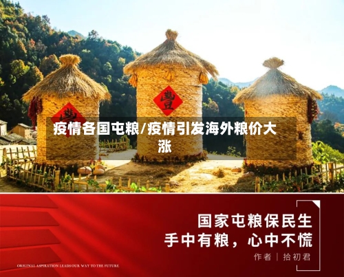 疫情各国屯粮/疫情引发海外粮价大涨