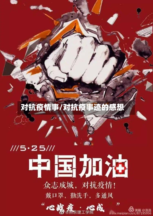 对抗疫情事/对抗疫事迹的感想