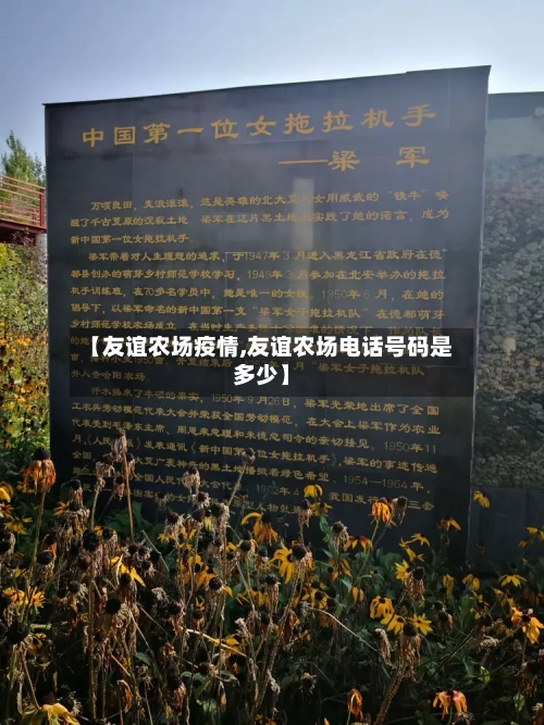 【友谊农场疫情,友谊农场电话号码是多少】
