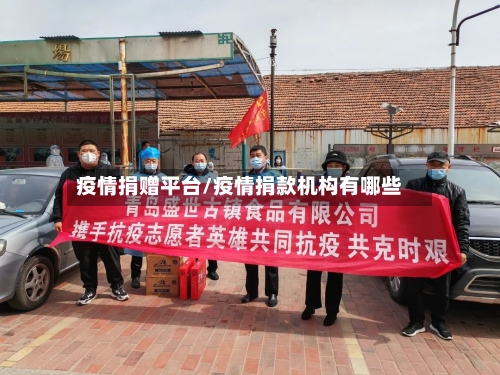 疫情捐赠平台/疫情捐款机构有哪些