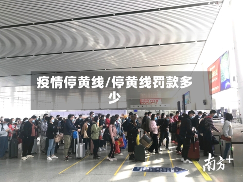疫情停黄线/停黄线罚款多少