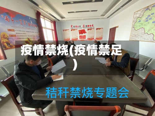 疫情禁烧(疫情禁足)
