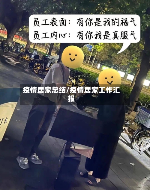 疫情居家总结/疫情居家工作汇报
