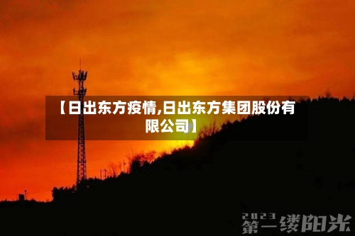 【日出东方疫情,日出东方集团股份有限公司】