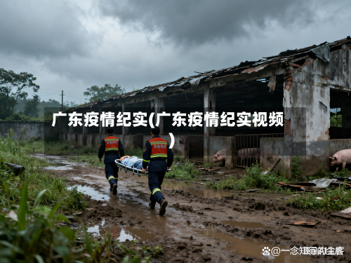 广东疫情纪实(广东疫情纪实视频)