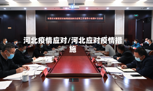 河北疫情应对/河北应对疫情措施