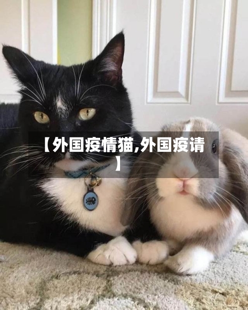 【外国疫情猫,外国疫请】