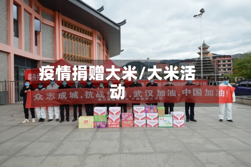 疫情捐赠大米/大米活动