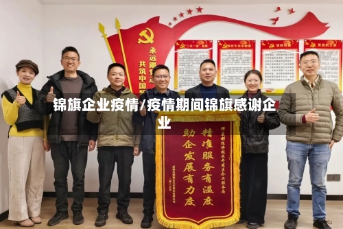 锦旗企业疫情/疫情期间锦旗感谢企业