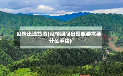 疫情出境旅游(疫情期间出国旅游需要什么手续)