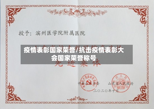 疫情表彰国家荣誉/抗击疫情表彰大会国家荣誉称号