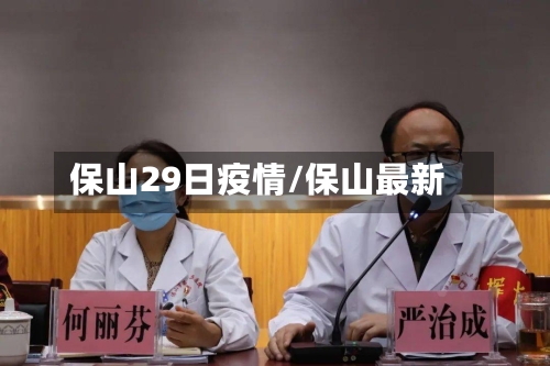 保山29日疫情/保山最新