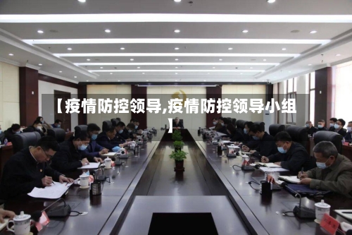 【疫情防控领导,疫情防控领导小组】