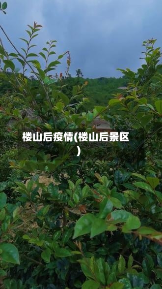 楼山后疫情(楼山后景区)