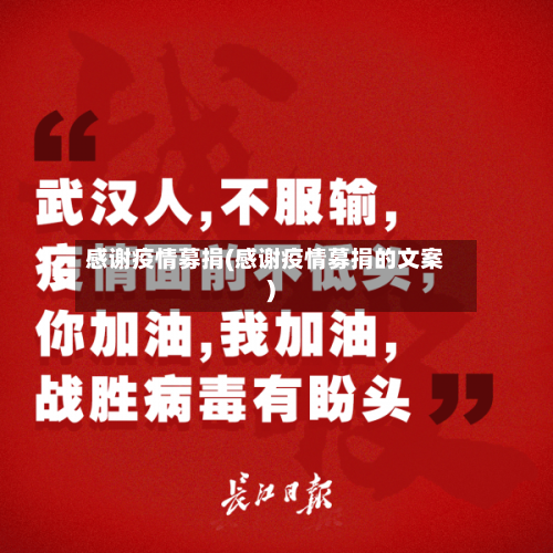 感谢疫情募捐(感谢疫情募捐的文案)