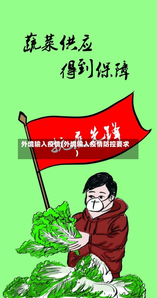 外境输入疫情(外境输入疫情防控要求)