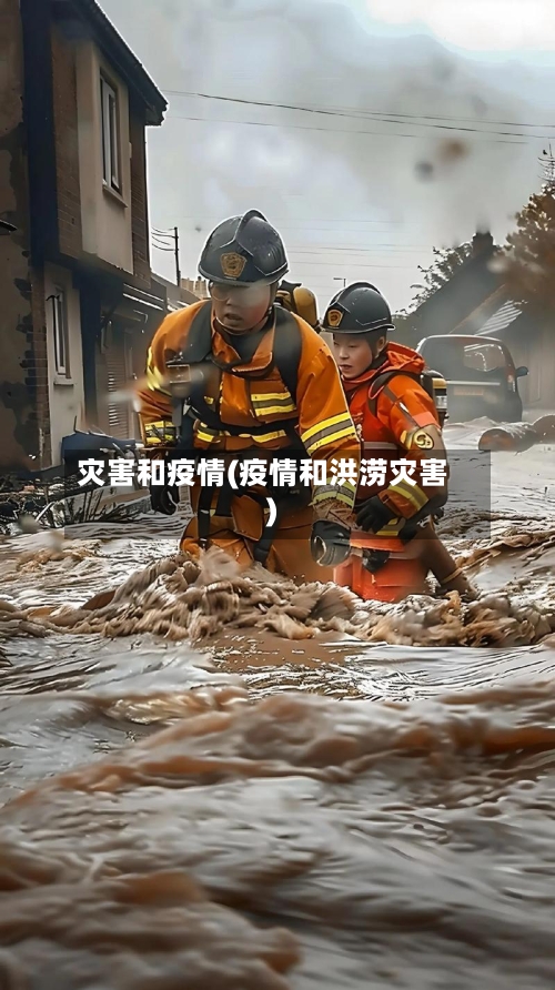 灾害和疫情(疫情和洪涝灾害)