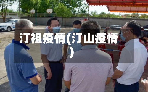 汀祖疫情(汀山疫情)
