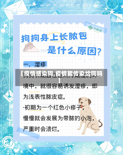 【疫情感染狗,疫情能传染给狗吗】