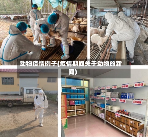 动物疫情例子(疫情期间关于动物的新闻)