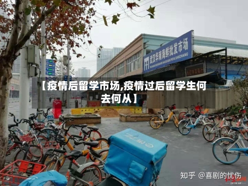 【疫情后留学市场,疫情过后留学生何去何从】